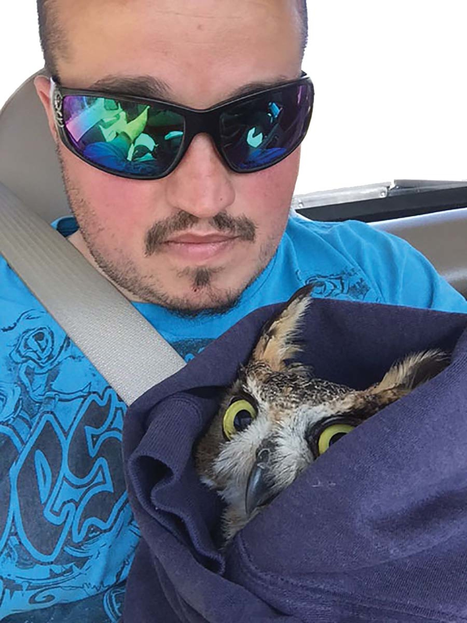 Owl-Selfie-T2.jpg