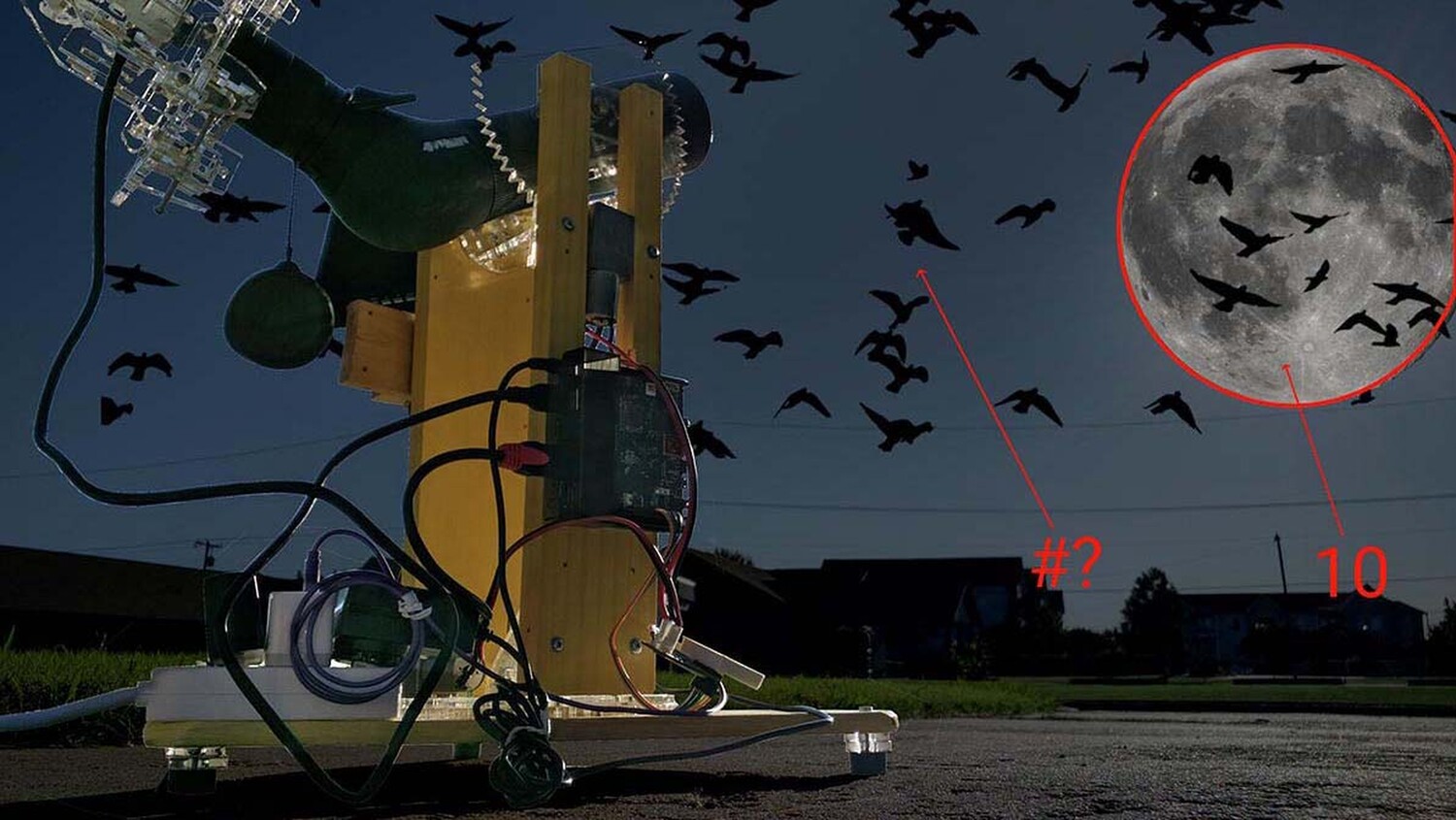 How can scientists and volunteers count migrating birds that travel at night?