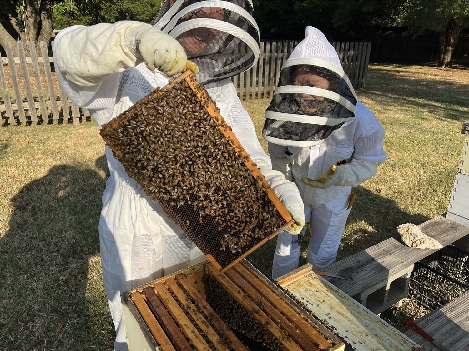 philanthropy-clubs-bees-2.jpg