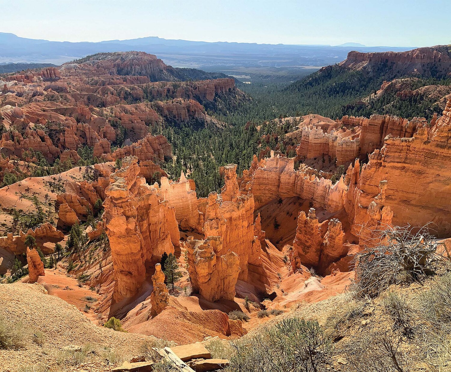 sightseeing-casie-wilson-bryce-canyon.jpg