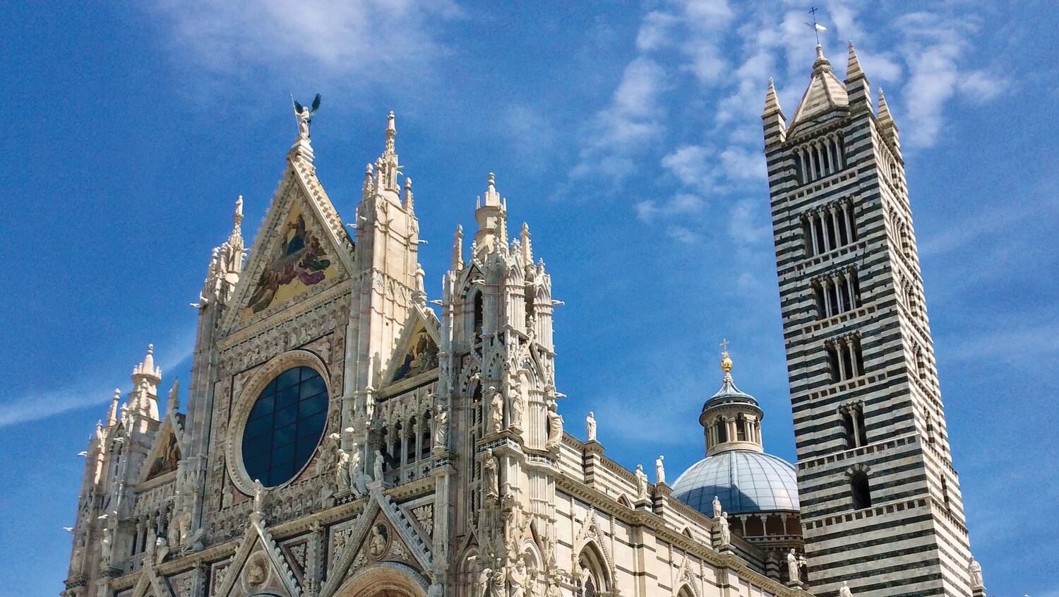 sightseeing-musser-siena-cropped.jpg