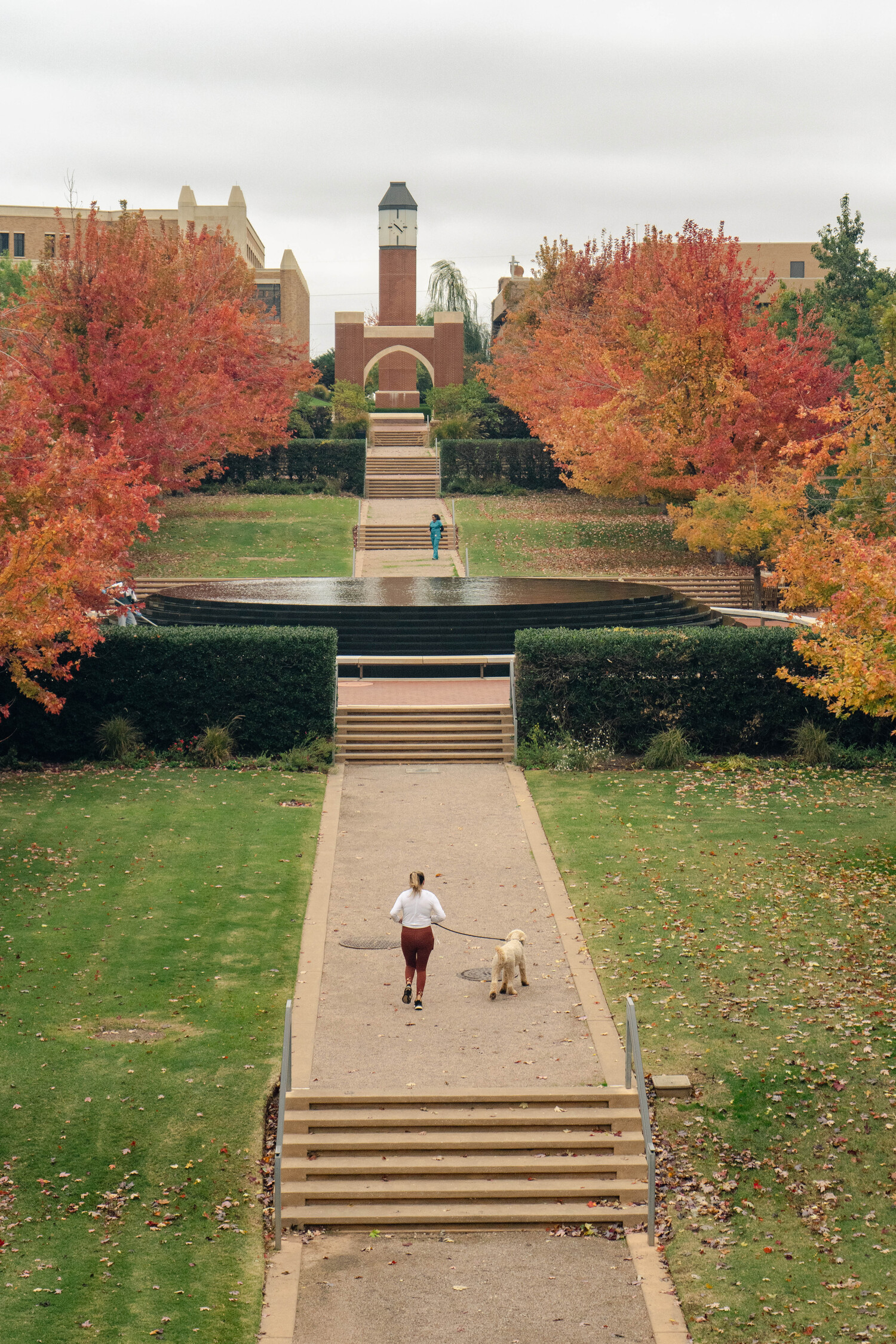 stanon-l-young-walk-fall-dog-high-res.jpg
